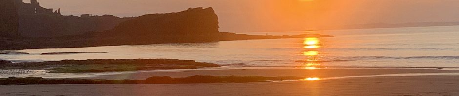 Evening Paddle Seacliffe Beach 16th July