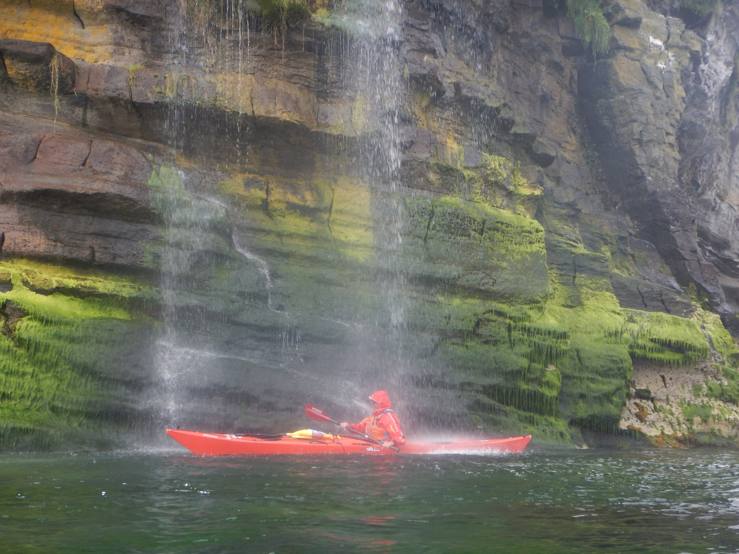 Raasay/Rona: Sea-eagles and seals galore – 31st July 2026