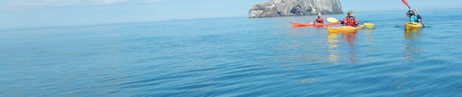 Grade A paddle from N Berwick – Sunday 6 May 2018