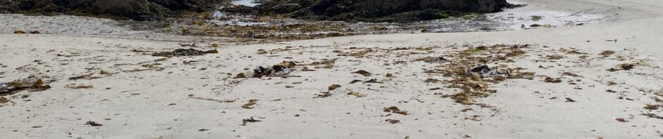 Colonsay not 2023 or 2024 but 2025 finally